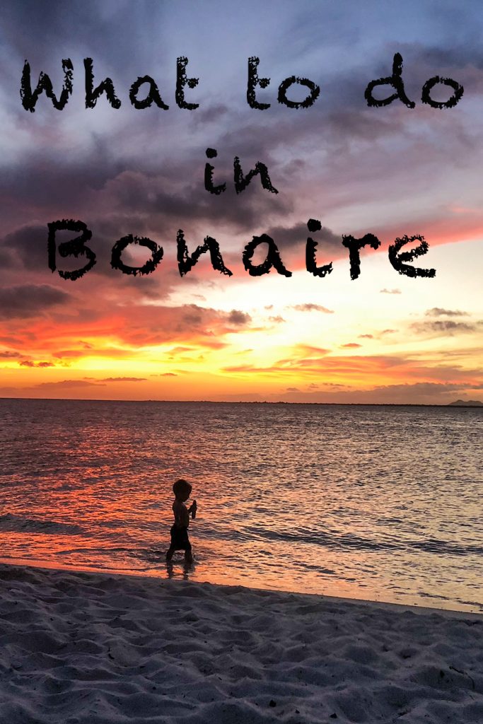 Things to do in Bonaire