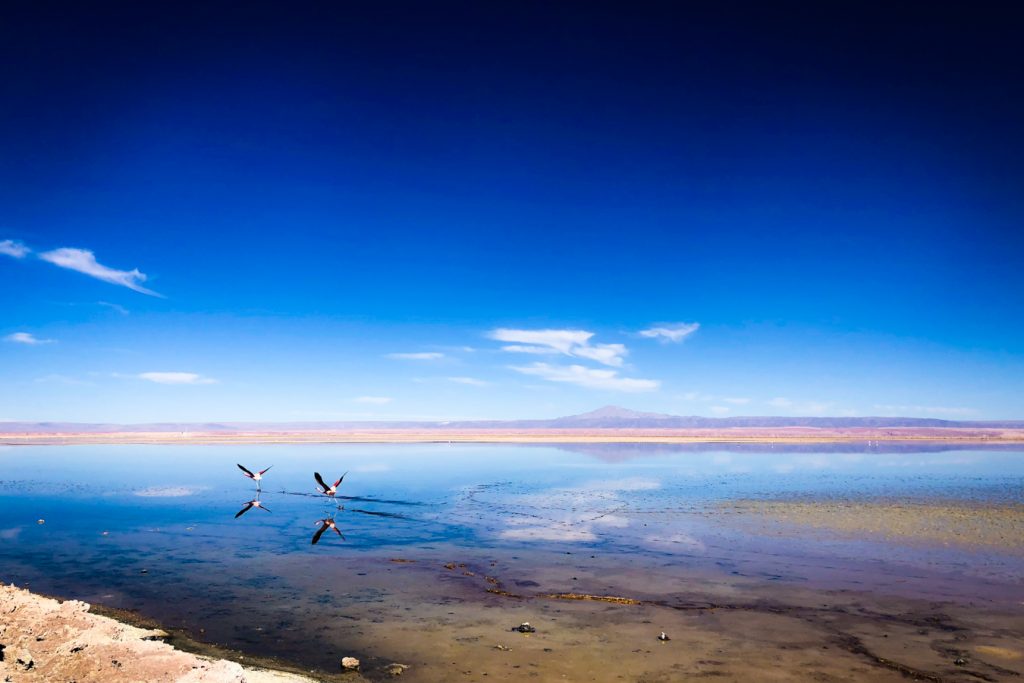 Atacama Salt Flat