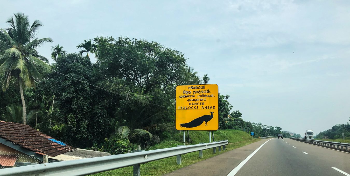 Driving as a tourist in Sri Lanka