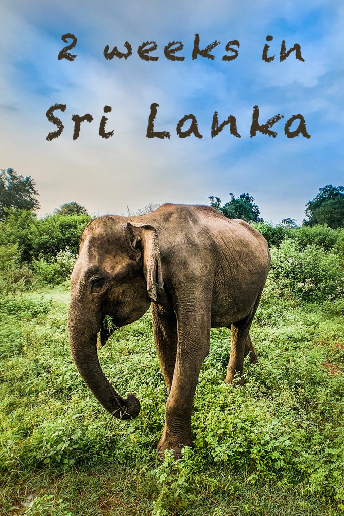 2 Weeks in Sri Lanka