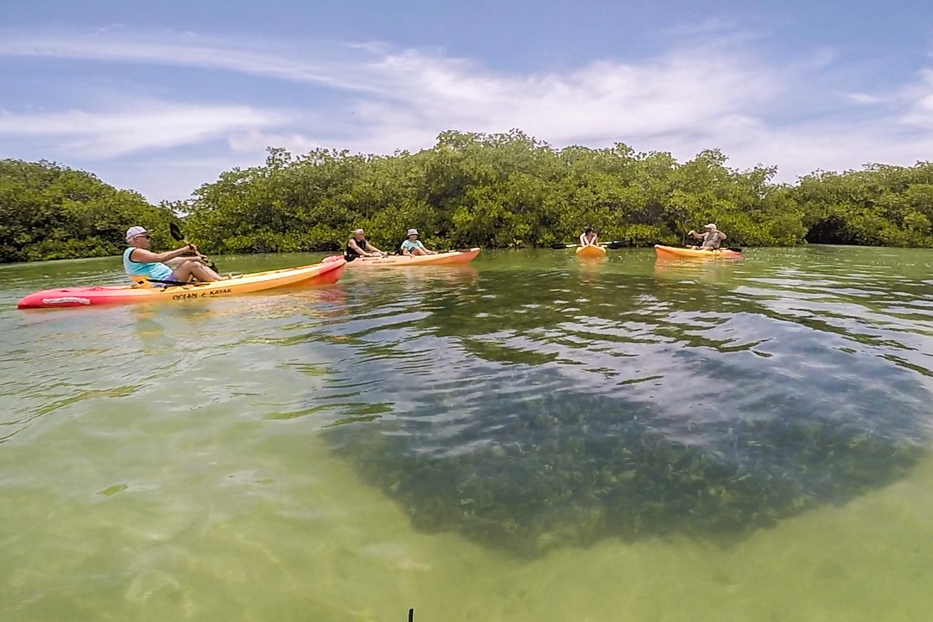 Kayaking in Bonaire Mangroves