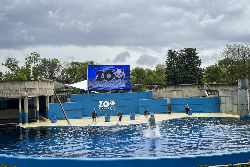 zoo madrid copii