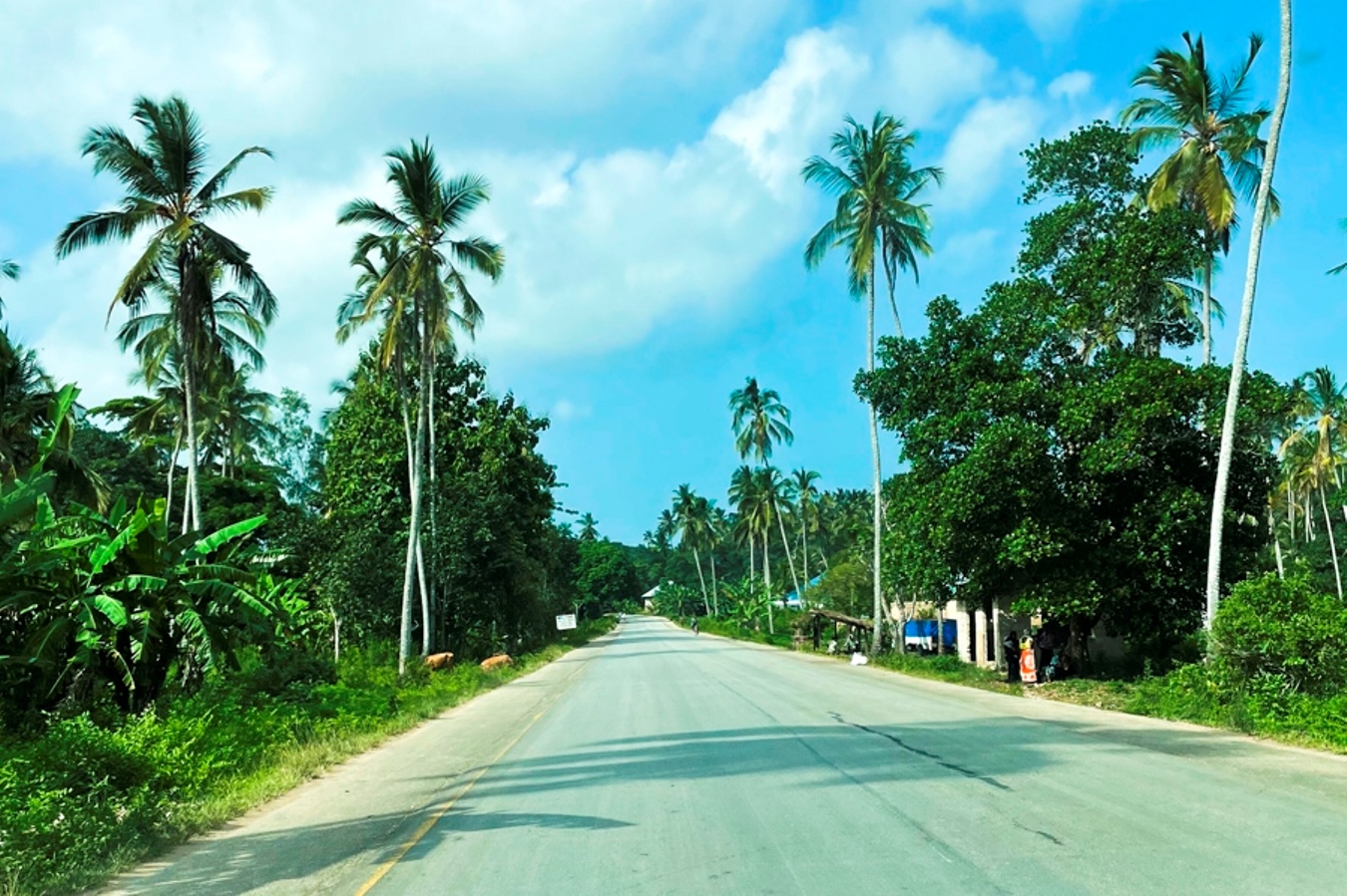 Driving as a tourist in Zanzibar